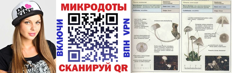 Галлюциногенные грибы GOLDEN TEACHER  Купить закладки  Серафимович 