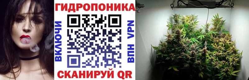 Купить закладки  Серафимович  Марихуана гибрид 